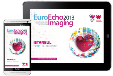 euroecho2013_screenshot
